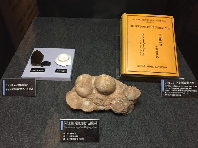 画像6: トロオドンに会える!恐竜の卵展