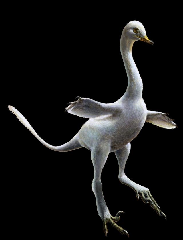 画像: ハルシュカラプトル復元図 www.esrf.eu