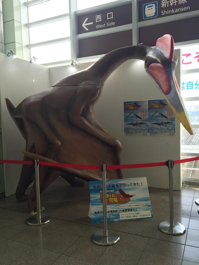 画像: 駅にケツァがいた時の!