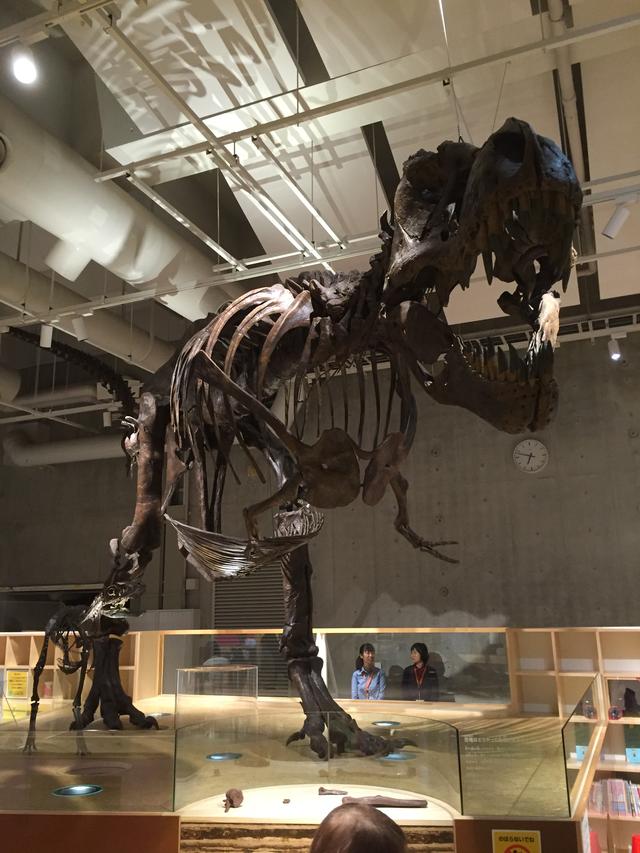 画像: 国立科学博物館のティラノサウルス