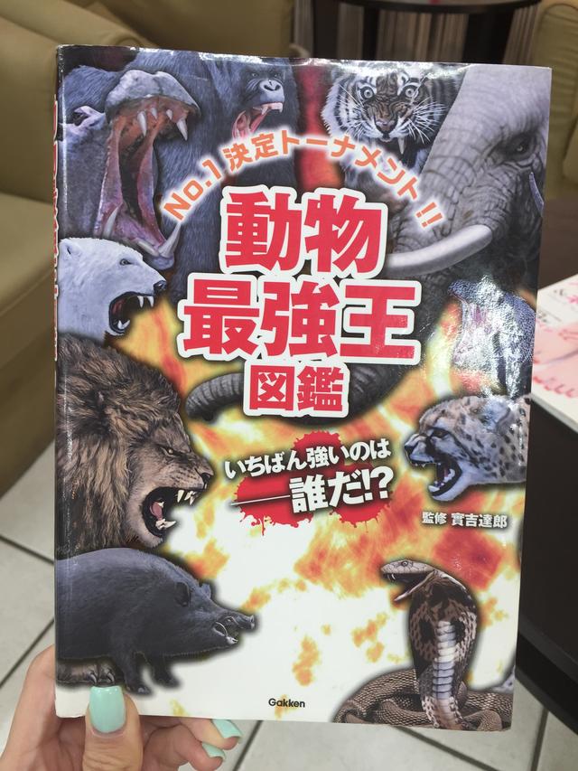 画像1: バトルトーナメントで勝ち進むのは誰か?!本紹介