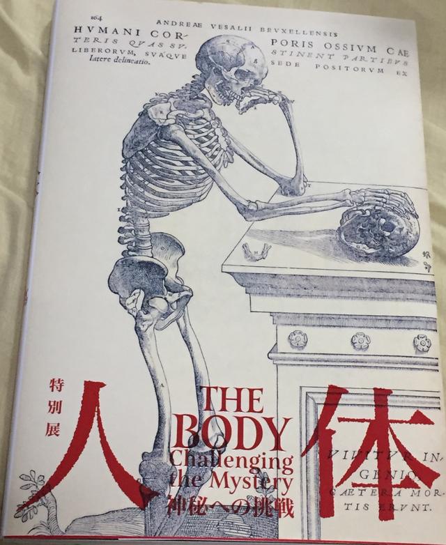 画像: 図録