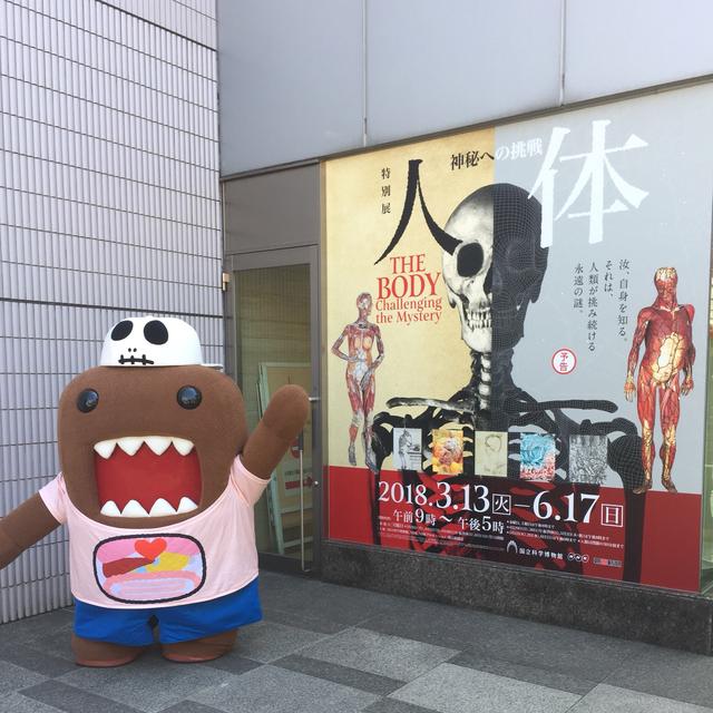 画像: ドーモくんが遊びにきてました
