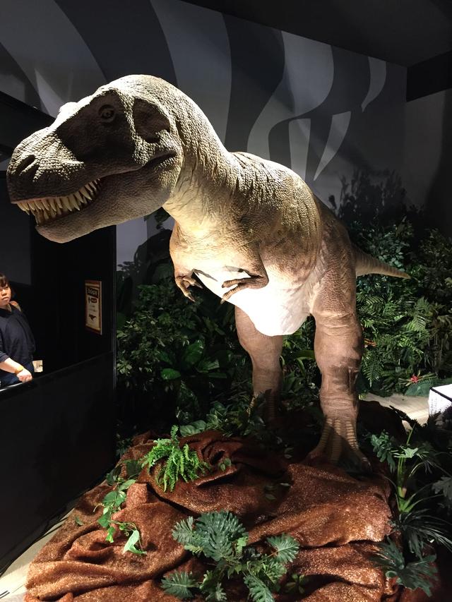 オービィ横浜 恐竜ハンターキャンプ のプレオープンに行ってみた Lawrence Motorcycle X Cars A Your Life