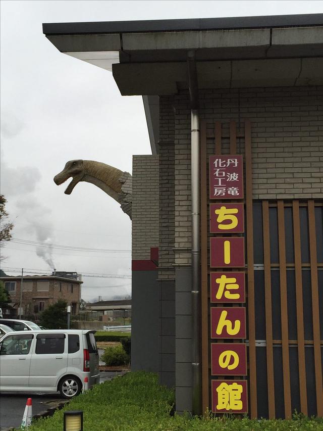 画像: にょきっと、出てきてます