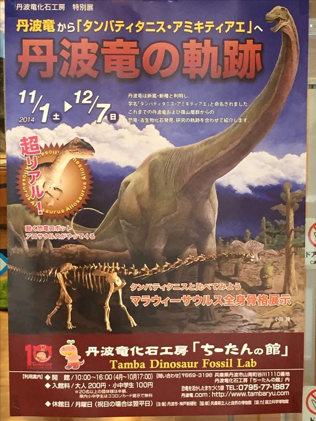 画像: 丹波竜の軌跡パンフレット