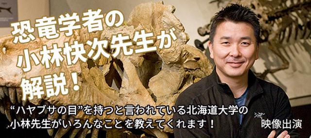 画像3: sekajulive.com