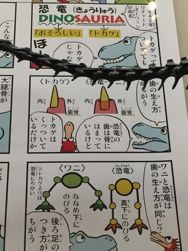 画像: 森本はつえさんの漫画