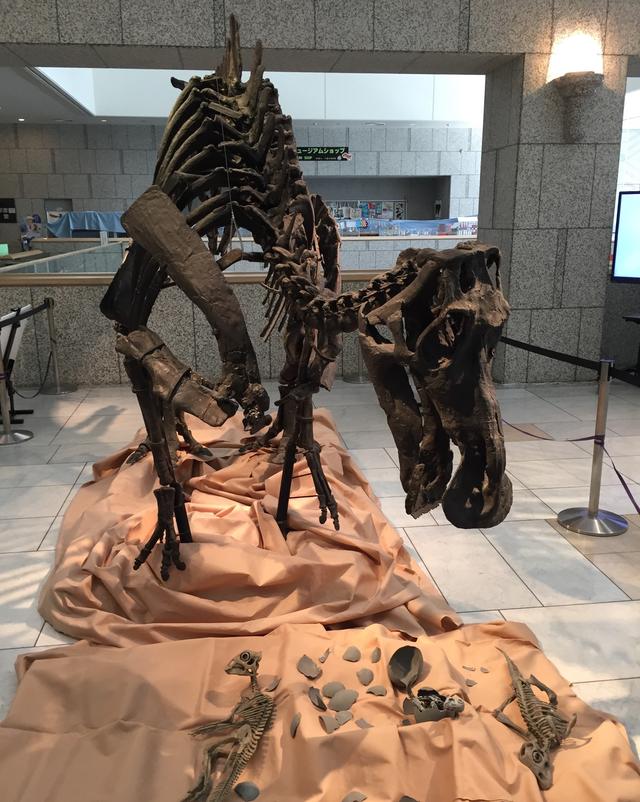 画像: マイアサウラ