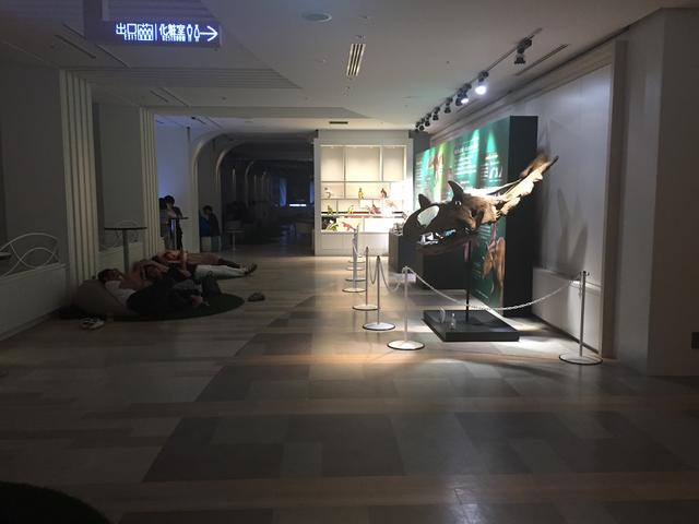 画像: 寝転がれるスペース