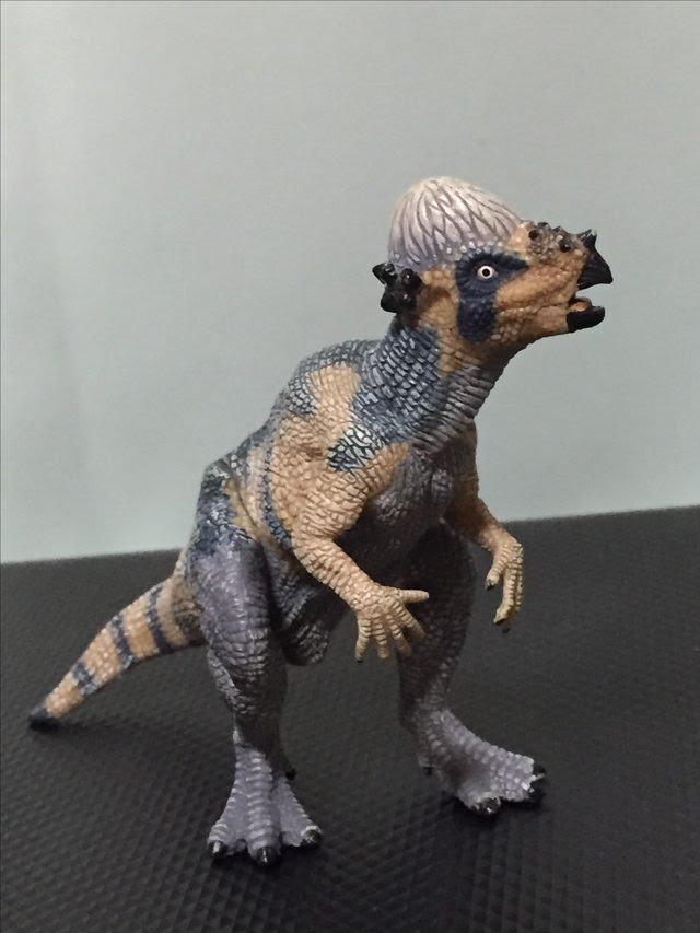 画像: パキケファロサウルス