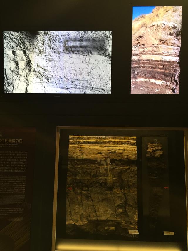 画像: 国立科学博物館