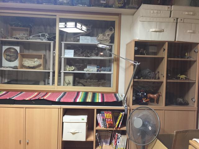 画像4: !?特攻の拓の所さんの約30年で集めた大量すぎる恐竜コレクション