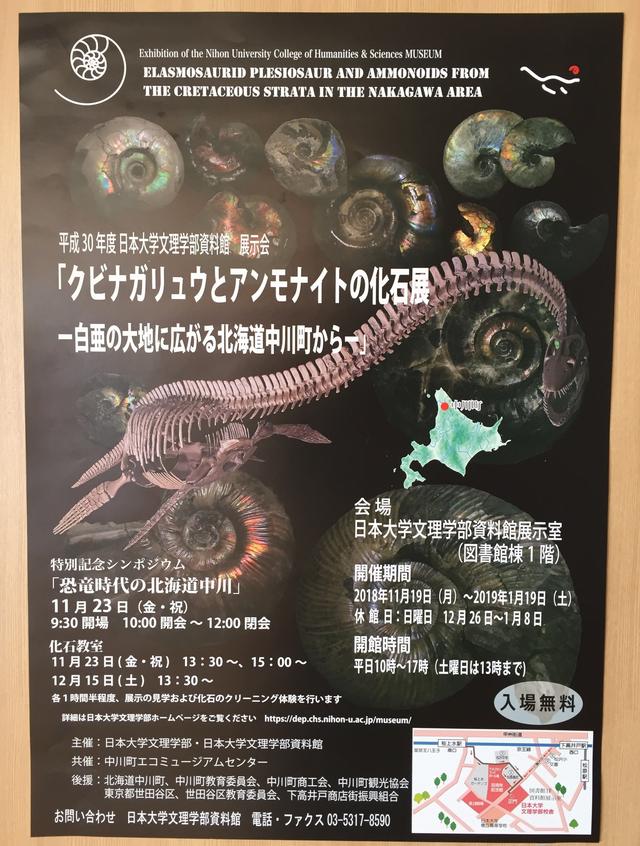 画像2: ナカガワクビナガリュウをよく見てみようの会