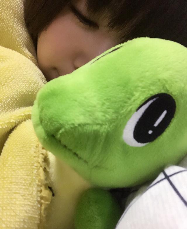 画像: すやすや。