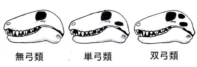 画像: blogs.yahoo.co.jp