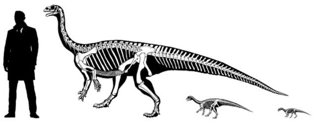 画像: ILLUSTRATION BY GONZÁLE natgeo.nikkeibp.co.jp