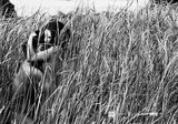 画像: 再審査でR15+指定となった「恋人たちは濡れた」(1973) (C)日活 http://eiga.com/news/20150501/4/