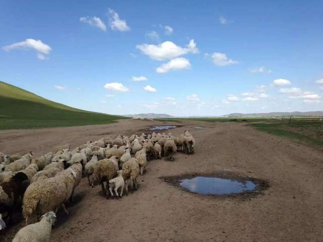 画像1: 美しく、壮大な大絶景に圧倒される---
