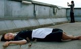 画像2: 鳥になった。私が見えた。― 境界線なんて、やすやすと超えられる!