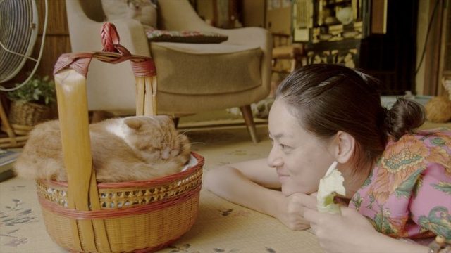 画像: 吉祥寺にゃんこ映画祭『レンタネコ』