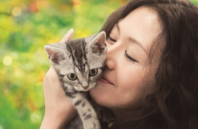 画像: 吉祥寺にゃんこ映画祭『グーグーだって猫である』