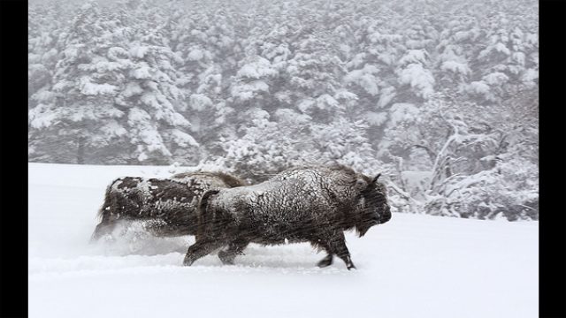 画像: ©2015 Galatée Films – Pathé Production – France 2 Cinéma – Pandora Film – Invest Image 3 – Rhône-Alpes Cinéma – Winds – Pierre et Vacances