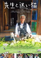 画像: 映画『先生と迷い猫』