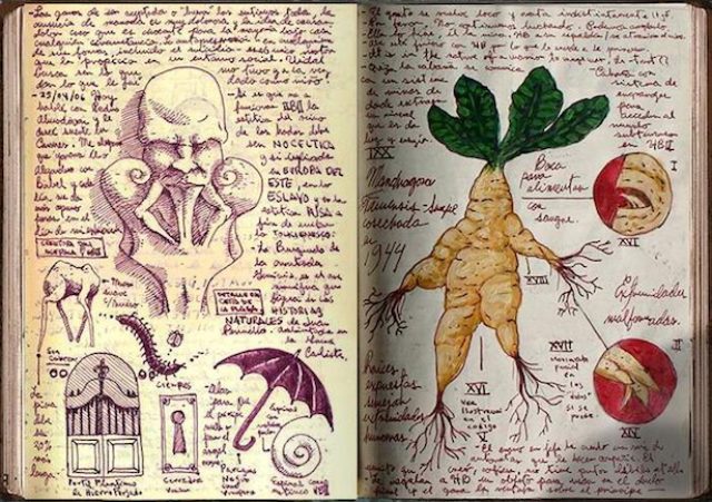 画像7: http://www.film.com/photos/guillermo-del-toros-incredible-sketchbooks