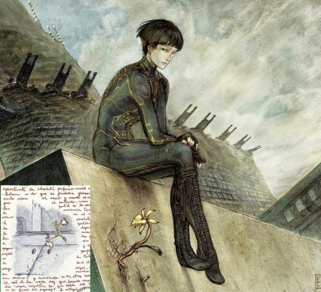 ギレルモ・モルディロ 絵本 作品集「mordillo Opus」全4巻 Amazon.co.jp: Guillermo Mordillo Picture Book Collection