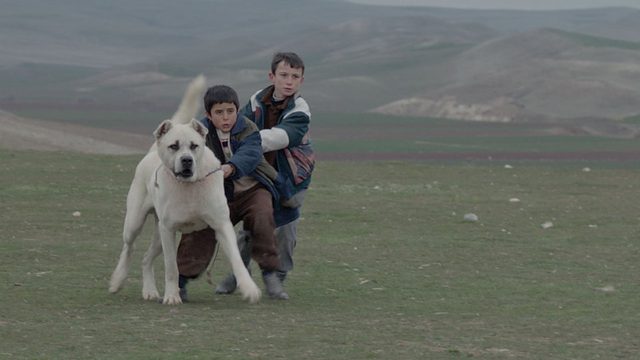 画像6: http://www.hollywoodreporter.com/lists/oscars-guide-inside-81-foreign-839500/item/utopia-81-foreign-films-839501