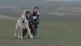 画像6: http://www.hollywoodreporter.com/lists/oscars-guide-inside-81-foreign-839500/item/utopia-81-foreign-films-839501