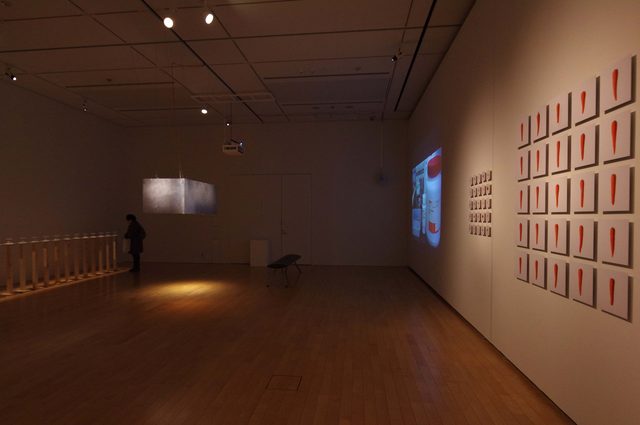 画像: -「human/nature -自然と人工のあいだ」石塚千晃 展示風景- - photo(C)mori hidenobu -cinefil art review