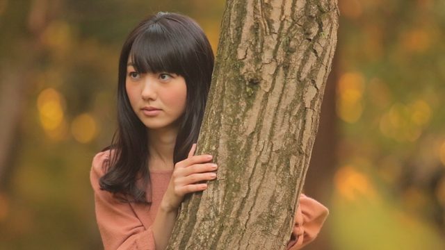 画像3: 北島博士のおもしろ映画講座 第11回 『森のカフェ』と榎本憲男監督