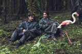 画像2: https://www.facebook.com/lobsterfinefilms