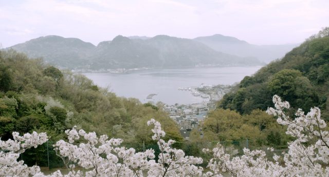 画像5: (C) 2015 halyosy、藤田遼、雨宮ひとみ、スタジオ・ハードデラックス/PHP研究所/『桜ノ雨』製作委員会