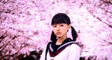 画像1: (C) 2015 halyosy、藤田遼、雨宮ひとみ、スタジオ・ハードデラックス/PHP研究所/『桜ノ雨』製作委員会