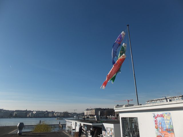 画像: なぜか、湖の傍のレストランに日本の鯉のぼりが。通訳のI氏がいうには、別に鯉のぼりがスイスで普及しているということはないとのこと。