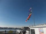 画像: なぜか、湖の傍のレストランに日本の鯉のぼりが。通訳のI氏がいうには、別に鯉のぼりがスイスで普及しているということはないとのこと。