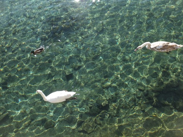 画像: 恐ろしいほど澄んだ湖水。夏は市民が水泳を楽しむと言う。