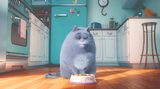 画像2: media0.giphy.com