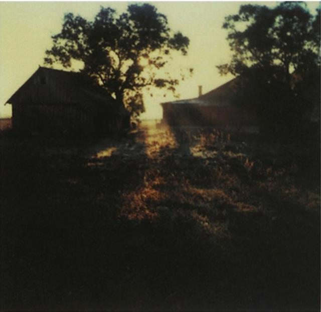 画像3: http://www.anothermag.com/art-photography/2939/andrei-tarkovskys-polaroids