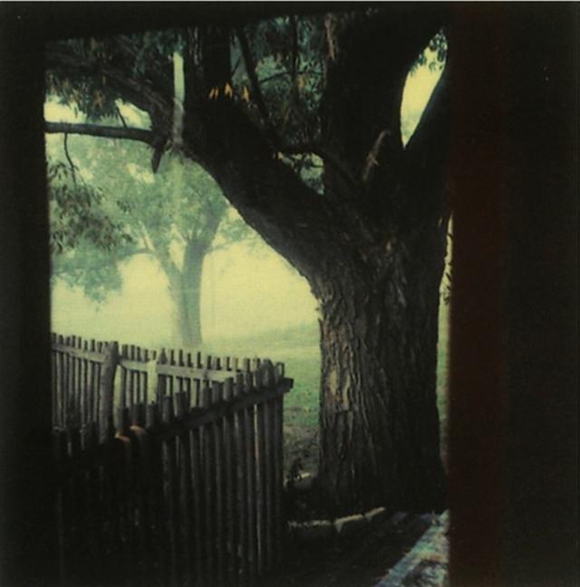 画像5: http://www.anothermag.com/art-photography/2939/andrei-tarkovskys-polaroids