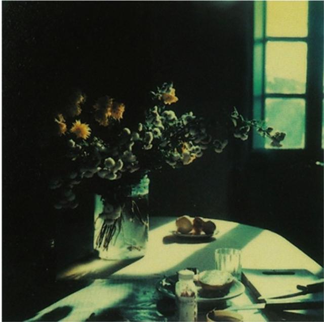 画像1: http://www.anothermag.com/art-photography/2939/andrei-tarkovskys-polaroids