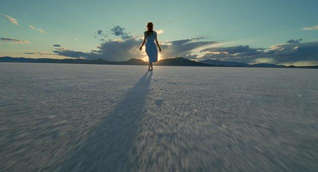 画像: https://infinitecrescendo.wordpress.com/2013/05/31/my-favorite-movies-the-tree-of-life/