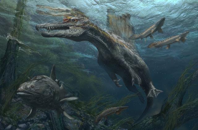 画像: スピノサウルス復元画 ©Davide Bonadonna