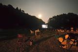 画像2: 湖畔の映画祭の特徴