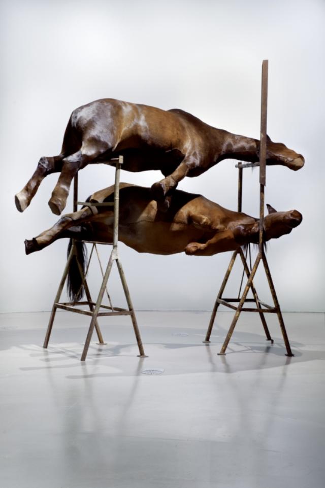 画像: BERLINDE DE BRUYCKERE, Les Deux | 2001 © Sammlung der Künstlerin, Foto: Richard Max Tremblay