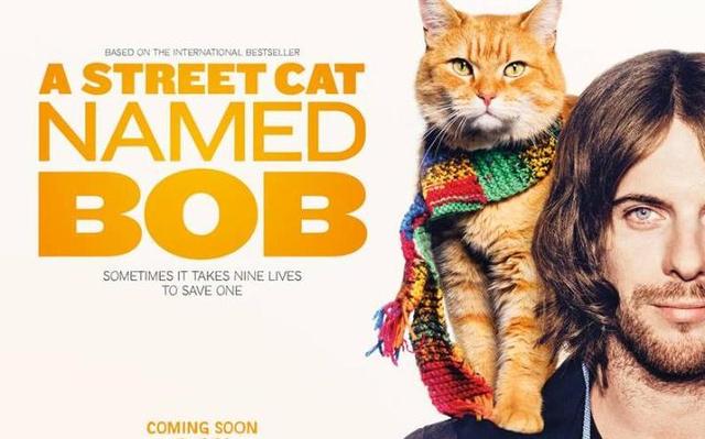 画像: http://www.telegraph.co.uk/films/2016/06/21/a-street-cat-named-bob-watch-luke-treadaway-in-the-first-trailer/