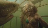 画像: © 2011 INCENTIVE FILM PRODUCTIONS, LLC. ALL RIGHTS RESERVED.